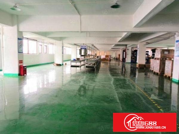 可办环评，均安镇1000方标准带装修厂房，有办公，水电齐全