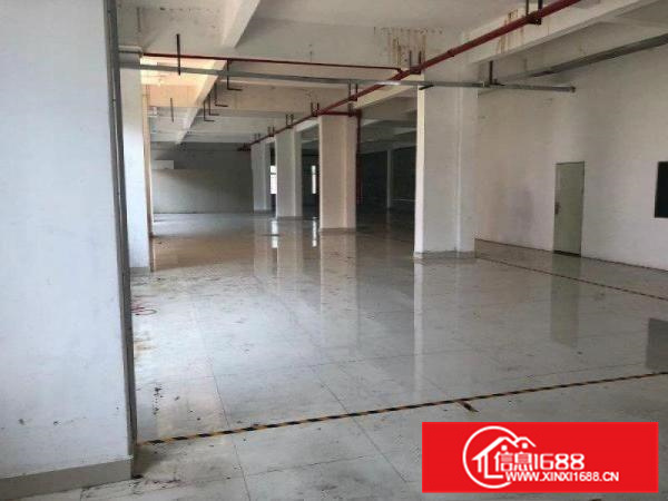 马安红本工业园一楼2400平方，高6米能办环评