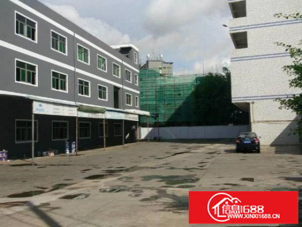 光明绝世靓盘一楼出租