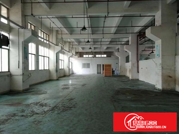公明东坑松白路边新出1楼750平米带装修厂房招租