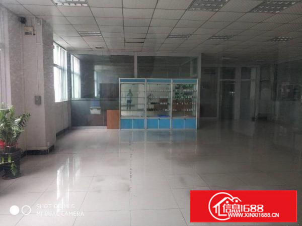 长安新安大桥旁原房东独院厂房4500平可分租交通好