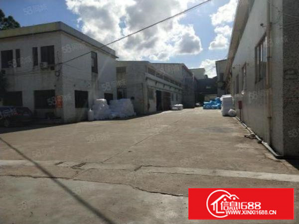 谢岗标准一楼8米高780平方出租