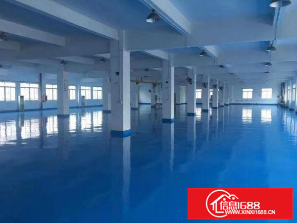 新出独院高新厂房11000平方！