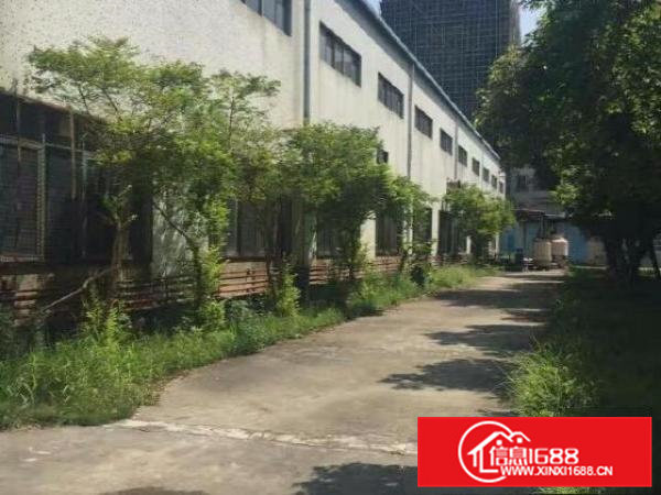 塘厦12米高钢构厂房出租5000平适合压铸模具