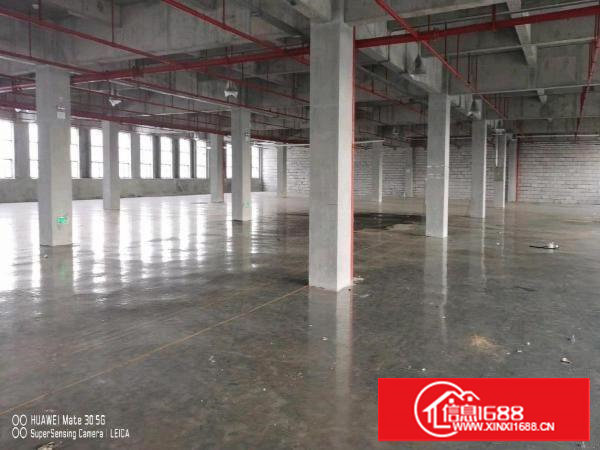 塘厦形象很好的厂房带装修