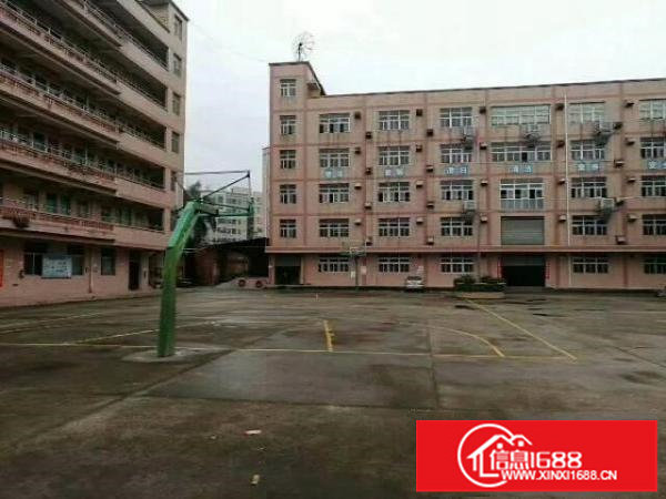 平湖大皇公新出3楼3000平方厂房急租