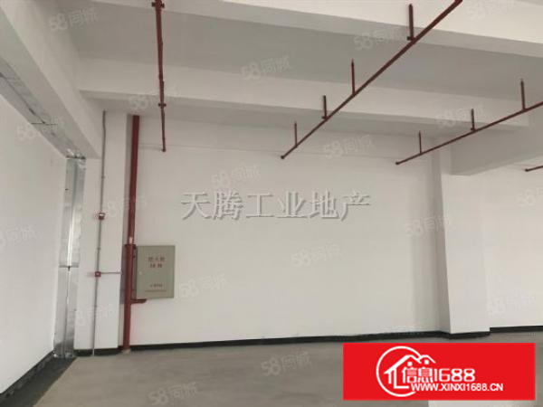杏坛智富园5楼1170方出租！成熟工业园！租期长！价钱便宜！