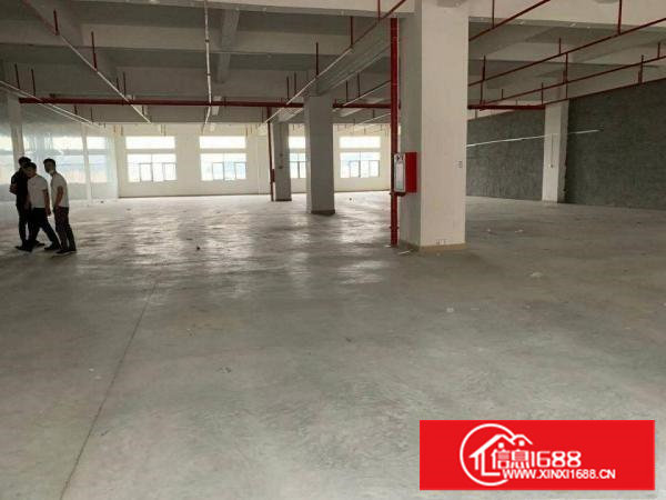 长安乌沙新出原房东1180平实际面积办公室精装修厂房出租