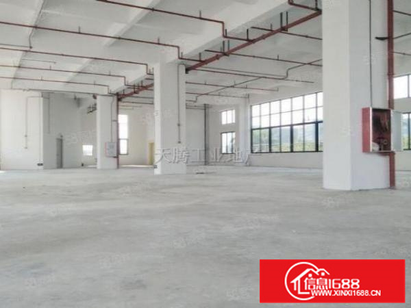 全新交付！伦教独立标准厂房6000方;形象大气
