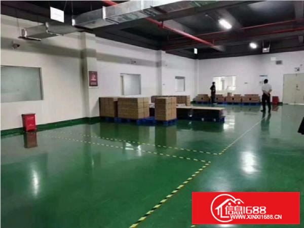 大岭山新出3200平米全新无尘车间出租带地坪漆