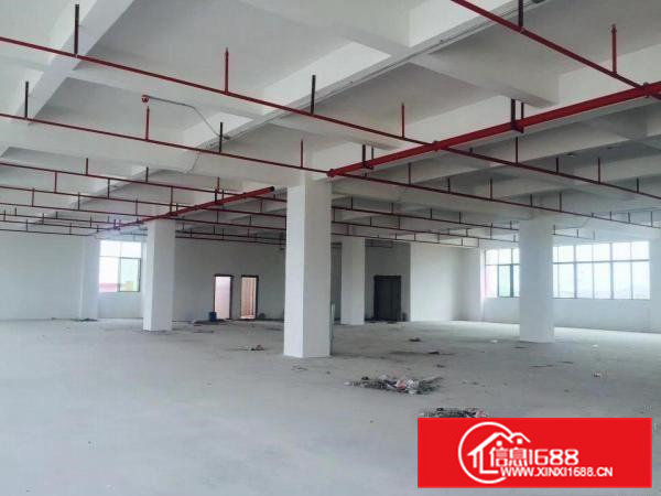 桥头镇屋厦村业主直租全新重工业厂房2360平米