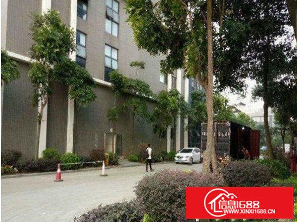 龙岗区华乐路一楼厂房1500平方出租，可分租