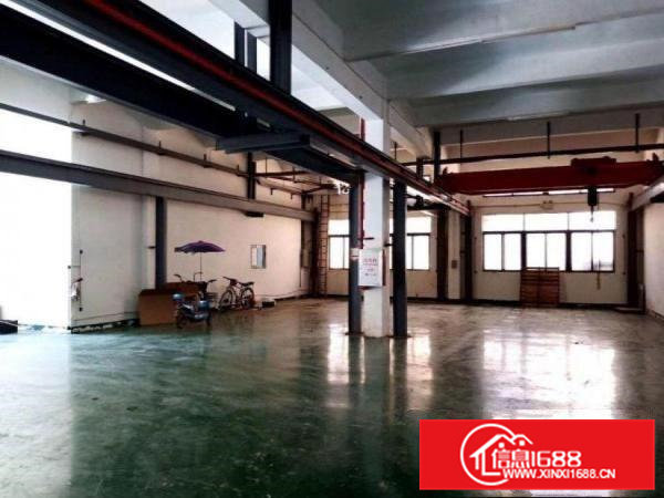 大利新出带行车厂房一楼550平方，带装修可办环评