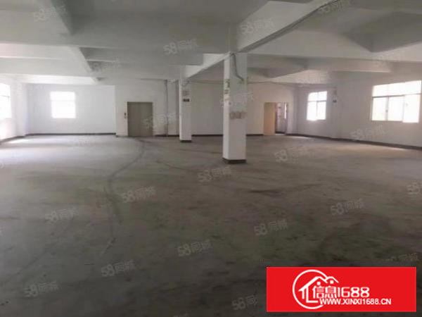 横沥新出原房东独门独院标准厂房