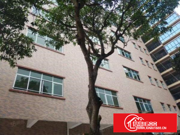 火~~塘厦林村（空地大）标准1楼厂房500平出租