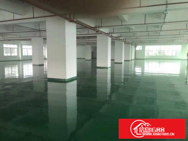 高埗1000平方优质楼房2楼厂房仓库出租