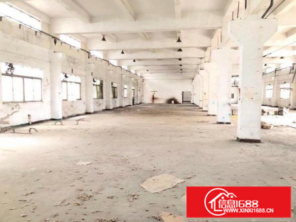 长安挨着虎门单一层独院2300平，原房东，空地大