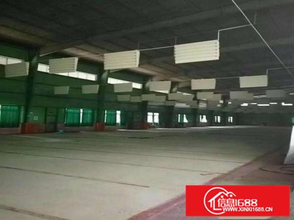 凤岗三联附近4200平钢构，10米高！