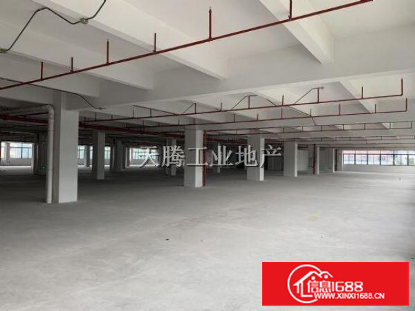 笋容桂全新厂房出租首层6000方