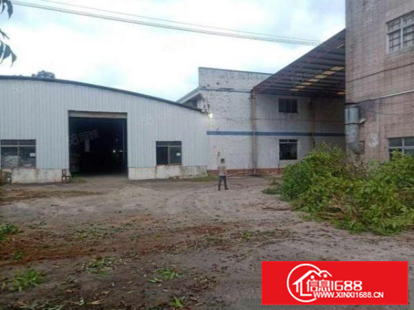 乐平礼义大道边独院10800平方厂房出租，空地大
