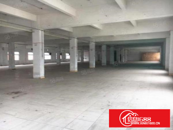 万江都会广场附近独院二三四楼厂房各1500平方可分租水电到位