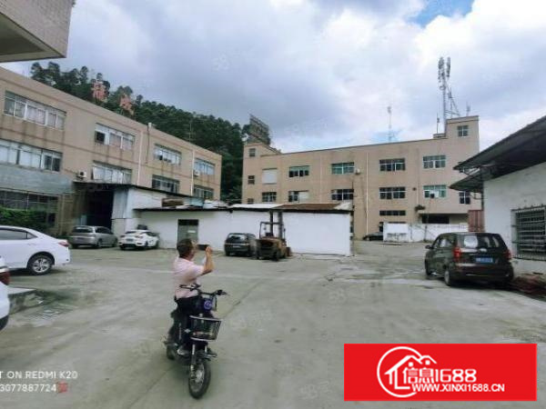 三联原房东三楼实际面积出租整层1000平方