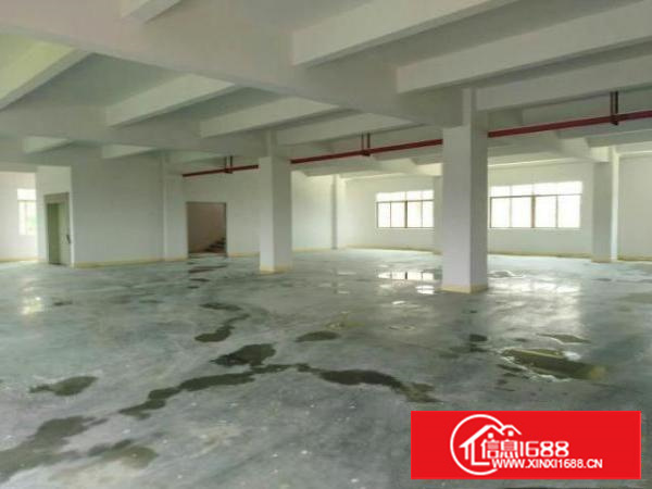 万江独院标准厂房3000平方米出租宿舍办公室装修