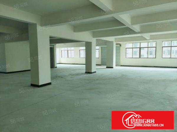 长安新出全新厂房一层一家VIP专享，全景落地玻璃！