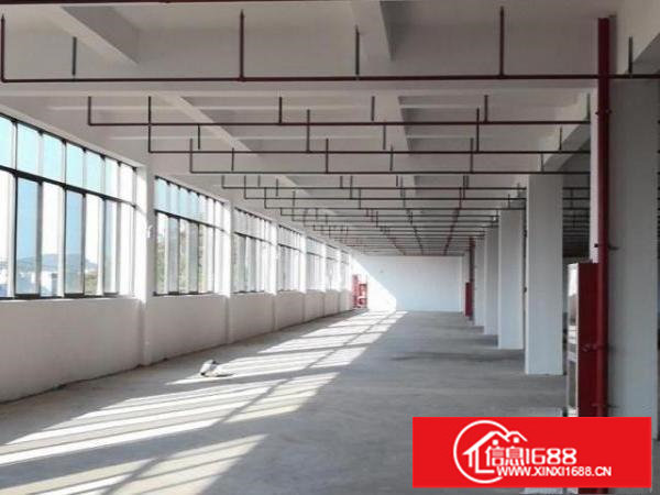 横岗全新独院厂房（红本）