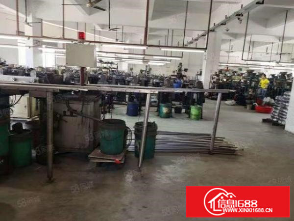 向东新出原房东标准2楼900平方厂房招租现成水电装修办公室