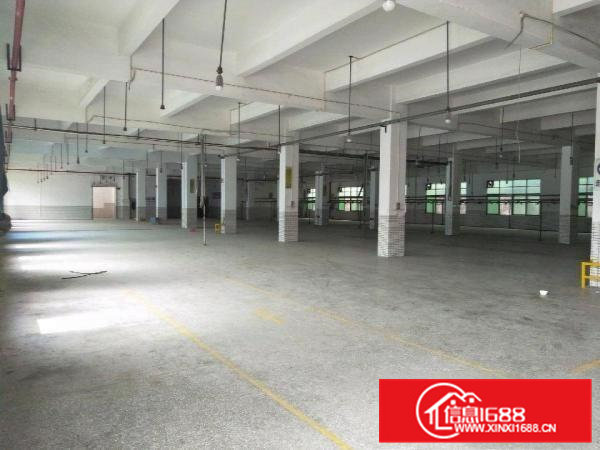 企石镇原房东招租三层标准厂房10000平方