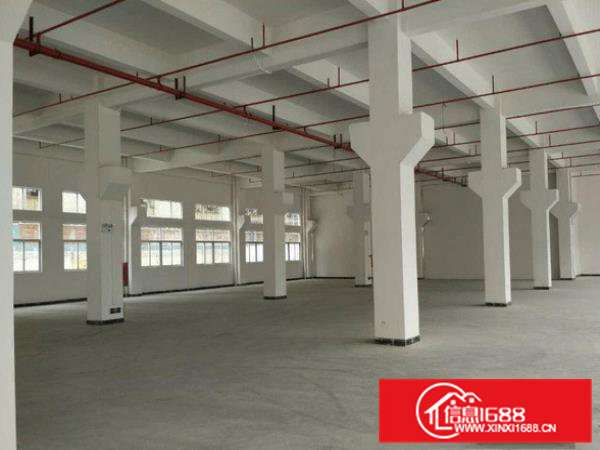 横沥隔坑新空出一楼900平方厂房出租现成水电