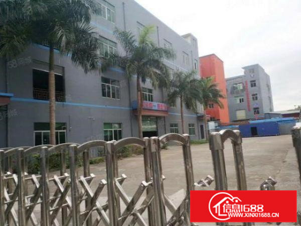 桥头石水口新出2楼1900平带装修厂房出租可分租