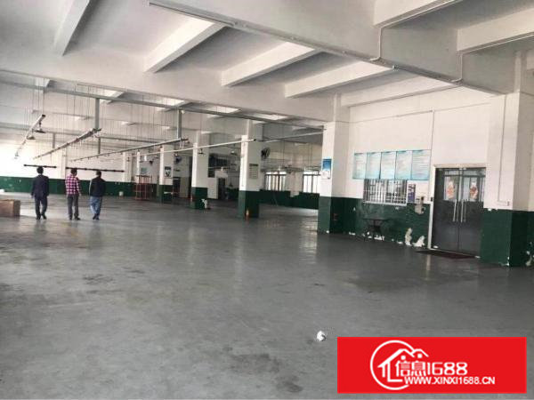 清溪大利标准厂房一楼1600平方带水电办公室急租