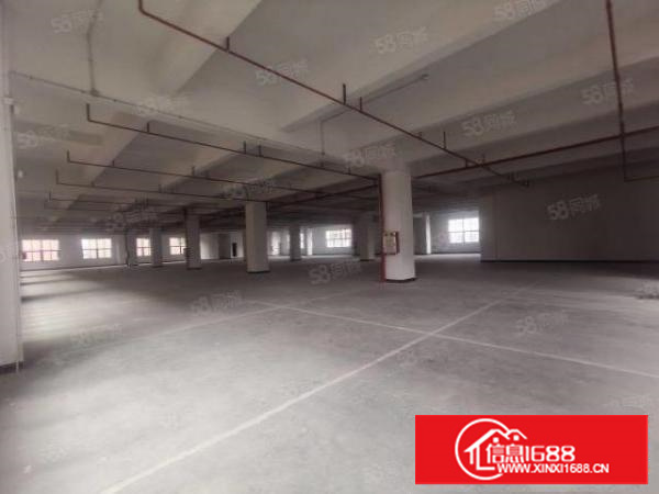 茶山全新独门独院可分租带印刷注塑丝印环评厂房空地大交通方便