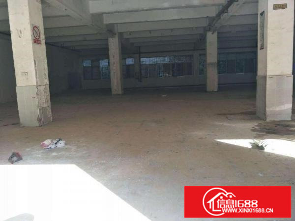 平湖富民工业区标准厂房楼上1200平大小可分租