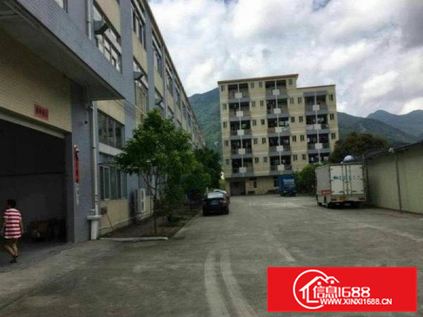 惠阳秋长白石新出标准厂房一楼208平，可做小加工