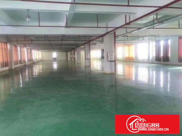 桥头镇带红本独院厂房6663平带装修