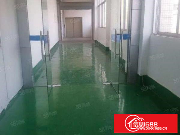 大岭山新出楼上1000无尘车间，主线地坪水电齐全