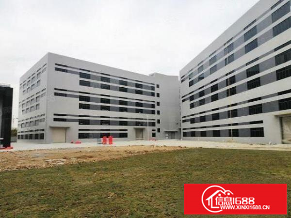 首层高9米，厂靓，空地大，顺德大良10000平方标准厂房出租