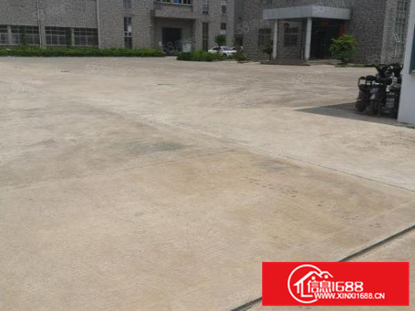 横沥西城实业客分租楼上600平方带水电豪华装修直租