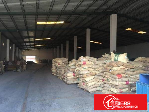 金凤凰单一层钢构厂房出租2000平适合塑胶家具