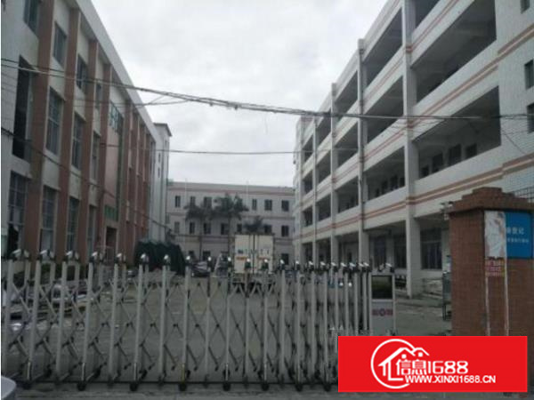 坪山新出独院厂房3900平米加宿舍1800平米