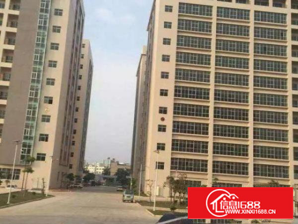 沙井高速出口高新产业园新厂房豪华装修