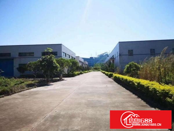 城区单层6米高9000平米单层钢构厂房10元出租