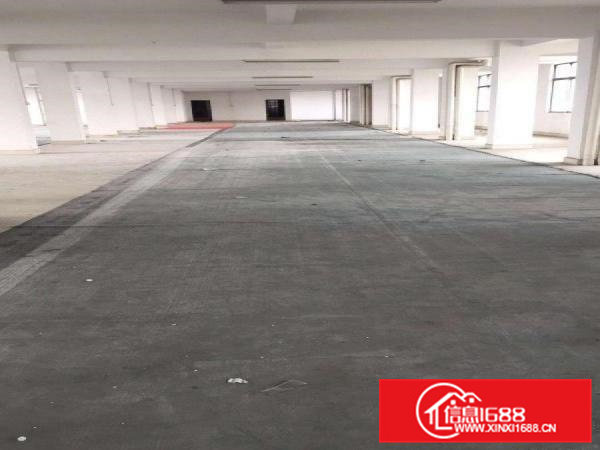 高埗标准厂房一楼800平方出租适合仓库贸易交通方便