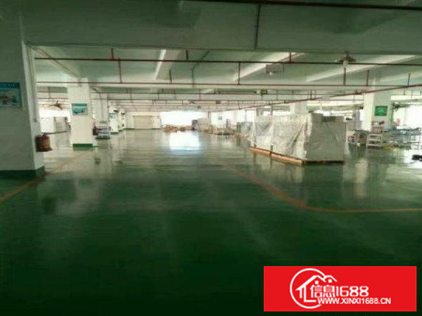 出租龙岗区横岗银荷楼上1380平装修高大上的厂房