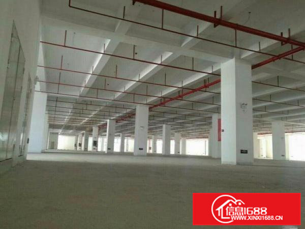 三江工业区标准厂房3100平米价格便宜