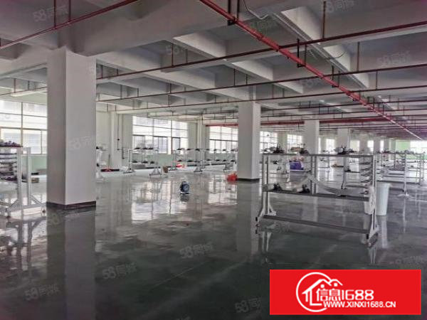 企石镇原房东楼上带豪华装修3000平米出租有VOC排放指标