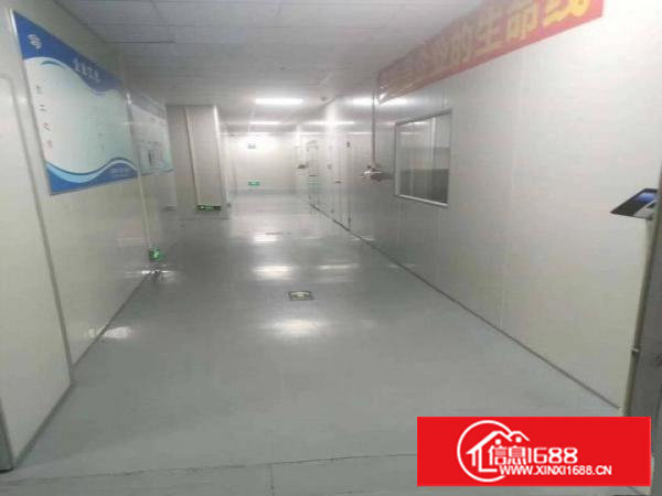 乌沙新出无尘车间3150平，可分租，无转让费